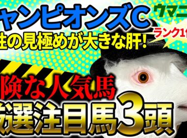 【チャンピオンズカップ2025】2025年JRA全レース予想で収支プラス90万！「霧プロ」の厳選注目馬＆危険な人気馬を特別公開！