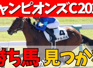 【チャンピオンズカップ 2025】最強ダート馬決定戦🔥カロリーさんは早くも本命決定だって？！注目は○○○○組🏇#競馬系vtuber