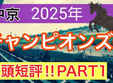 【チャンピオンズカップ2025】蓮の競馬予想(全頭短評PART1)