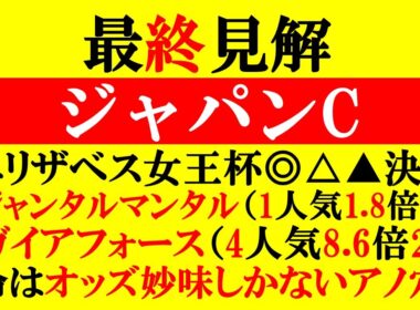 【ジャパンC 最終見解 2025】マイルCS◎ジャンタルマンタル1着！▲ガイアフォース3着！本命はオッズ妙味しかないアノ馬！！