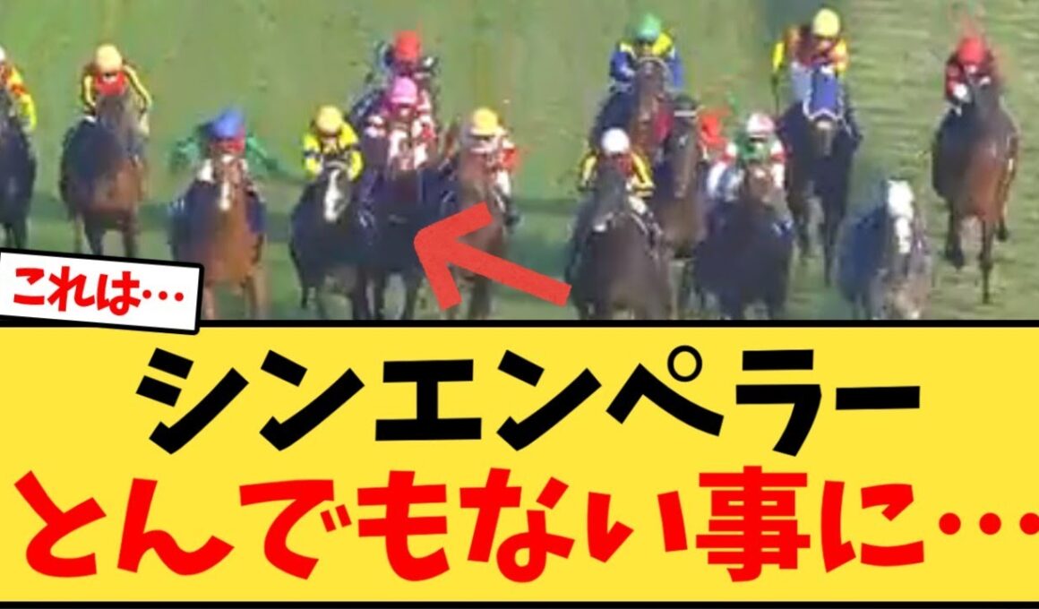 【ジャパンカップ2025】シンエンペラーとんでもない事に…【競馬反応集】