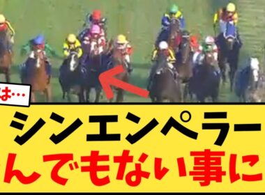 【ジャパンカップ2025】シンエンペラーとんでもない事に…【競馬反応集】