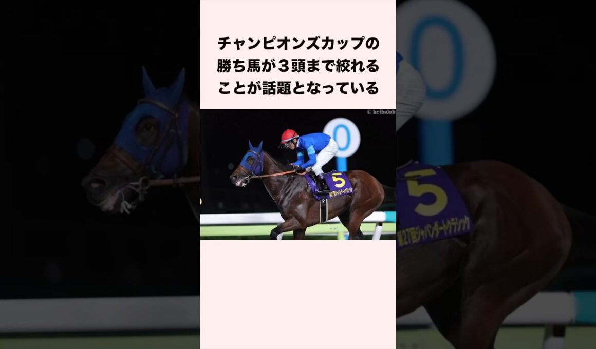 チャンピオンズカップの勝ち馬が3頭まで絞れるデータが話題となっている #競馬 #競馬予想 #ウマ娘 #チャンピオンズカップ #shorts