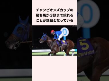 チャンピオンズカップの勝ち馬が3頭まで絞れるデータが話題となっている #競馬 #競馬予想 #ウマ娘 #チャンピオンズカップ #shorts
