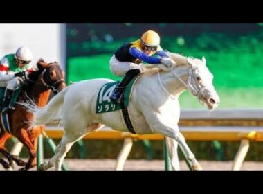 🏇阪神ジュベナイルフィリーズ2025🔥勝つのは誰だ!?
