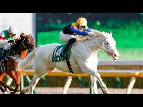 🏇阪神ジュベナイルフィリーズ2025🔥勝つのは誰だ!?