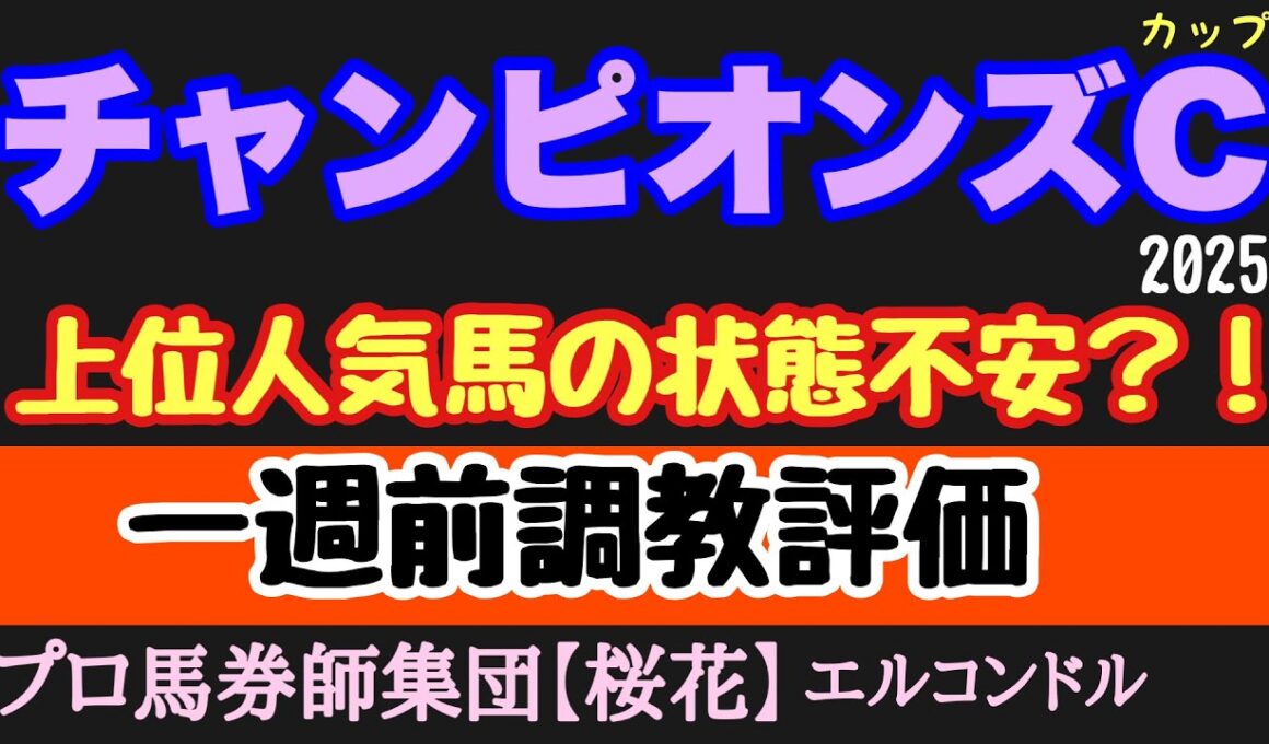 エルコンドル氏のチャンピオンズカップ2025一週前調教評価！！中央競馬ダート路線の大一番！人気集める３歳馬に古馬有力勢の状態は？！