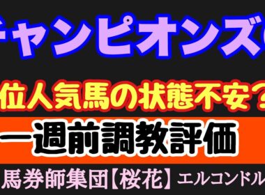 エルコンドル氏のチャンピオンズカップ2025一週前調教評価！！中央競馬ダート路線の大一番！人気集める３歳馬に古馬有力勢の状態は？！