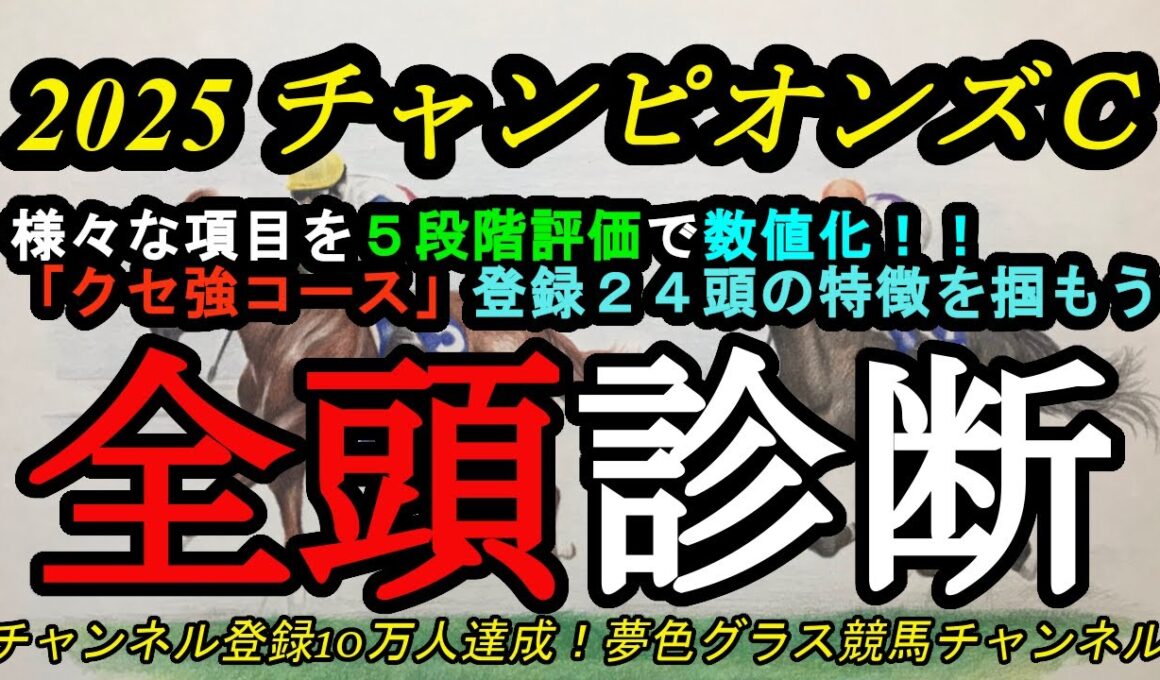 【全頭診断】2025チャンピオンズカップ！クセの強い中京コースでコース適性が高い馬は！？ナルカミ、ダブルハートボンドの評価は？