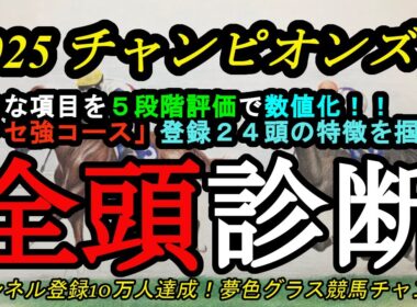 【全頭診断】2025チャンピオンズカップ！クセの強い中京コースでコース適性が高い馬は！？ナルカミ、ダブルハートボンドの評価は？