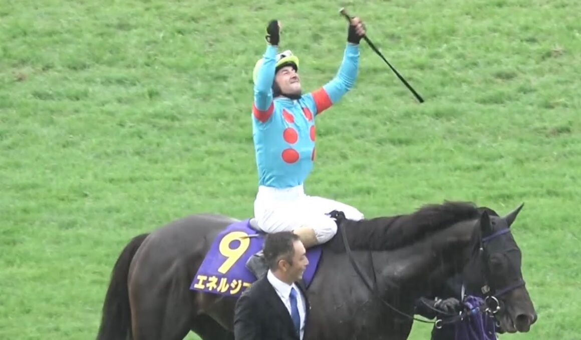 【現地】2025 G1 菊花賞 エネルジコ C.ルメール 年間100勝達成 菊花賞3連覇【生ファンファーレ 京都競馬場 やっぱりルメール】