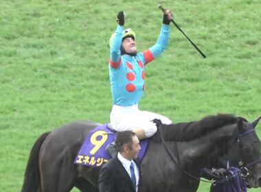 【現地】2025 G1 菊花賞 エネルジコ C.ルメール 年間100勝達成 菊花賞3連覇【生ファンファーレ 京都競馬場 やっぱりルメール】