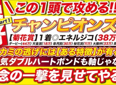 🎯最後まで攻める→【チャンピオンズカップ2025予想】ナルカミの逃げ方には【ある特徴】が有る？ダブルハートボンドも軸じゃない！執念の一撃を見せてやる！
