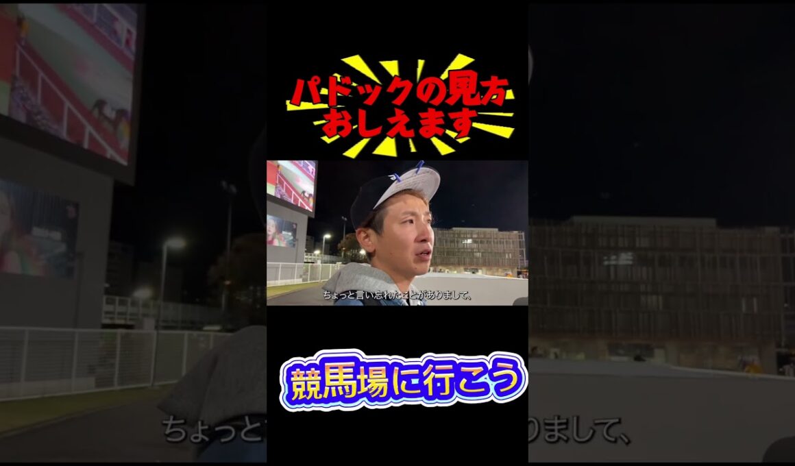 大井競馬場のパドック#競馬#チャンピオンズカップ#ナルカミ#ウィルソンテソーロ#カランダガン#大井競馬場 #万馬券