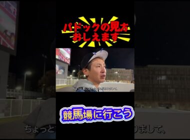 大井競馬場のパドック#競馬#チャンピオンズカップ#ナルカミ#ウィルソンテソーロ#カランダガン#大井競馬場 #万馬券