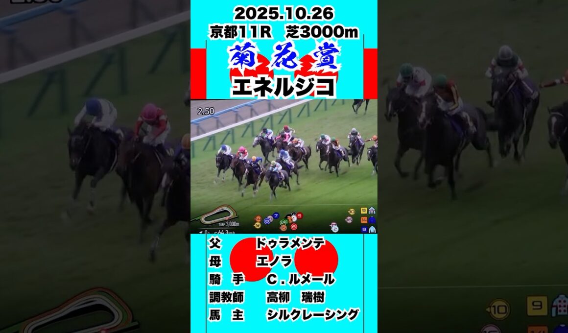 エネルジコ【菊花賞2025】