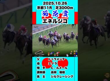 エネルジコ【菊花賞2025】
