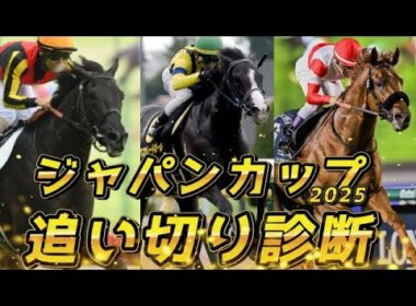 【ジャパンカップ2025 追い切り診断‼】クロワデュノールの調整は間に合ったのか…？　マスカレードボール更に上積み！？　元馬術選手のコラム