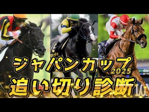 【ジャパンカップ2025 追い切り診断‼】クロワデュノールの調整は間に合ったのか…？　マスカレードボール更に上積み！？　元馬術選手のコラム