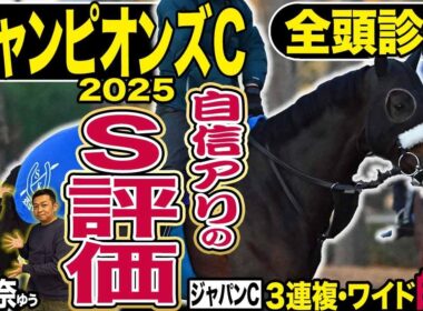 《東スポ競馬ニュース》【チャンピオンズＣ２０２５】全頭診断！４連勝中のナルカミよりも信頼できるのはこの１頭！唯一のＳ評価の根拠とは！？競馬記者が徹底解説！！