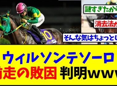 【チャンピオンズカップ2025】ウィルソンテソーロ、前走の敗因判明するｗｗｗ【反応集】