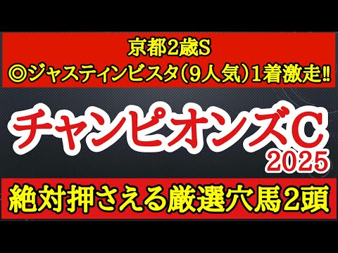 【チャンピオンズカップ2025】厳選穴馬！実績有りながらも案外軽視されている一発狙える2頭を公開！