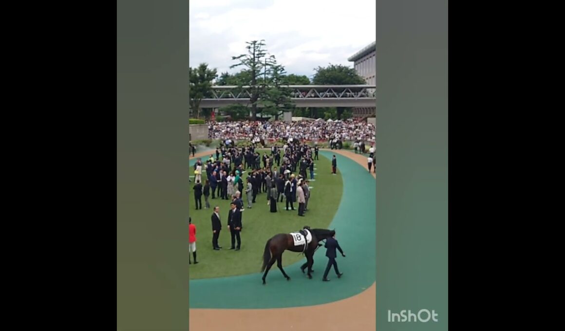 2025東京優駿(日本ダービー)のパドックと国歌独唱