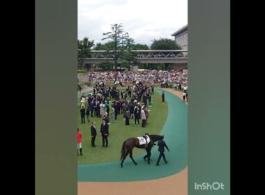 2025東京優駿(日本ダービー)のパドックと国歌独唱