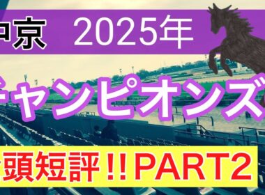 【チャンピオンズカップ2025】蓮の競馬予想(全頭短評PART2)