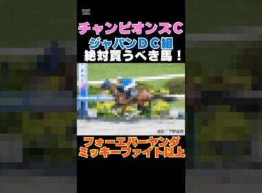 【チャンピオンズカップ2025】ジャパンダートクラシック組から絶対買うべき馬！フォーエバーヤング、ミッキーファイト以上！
