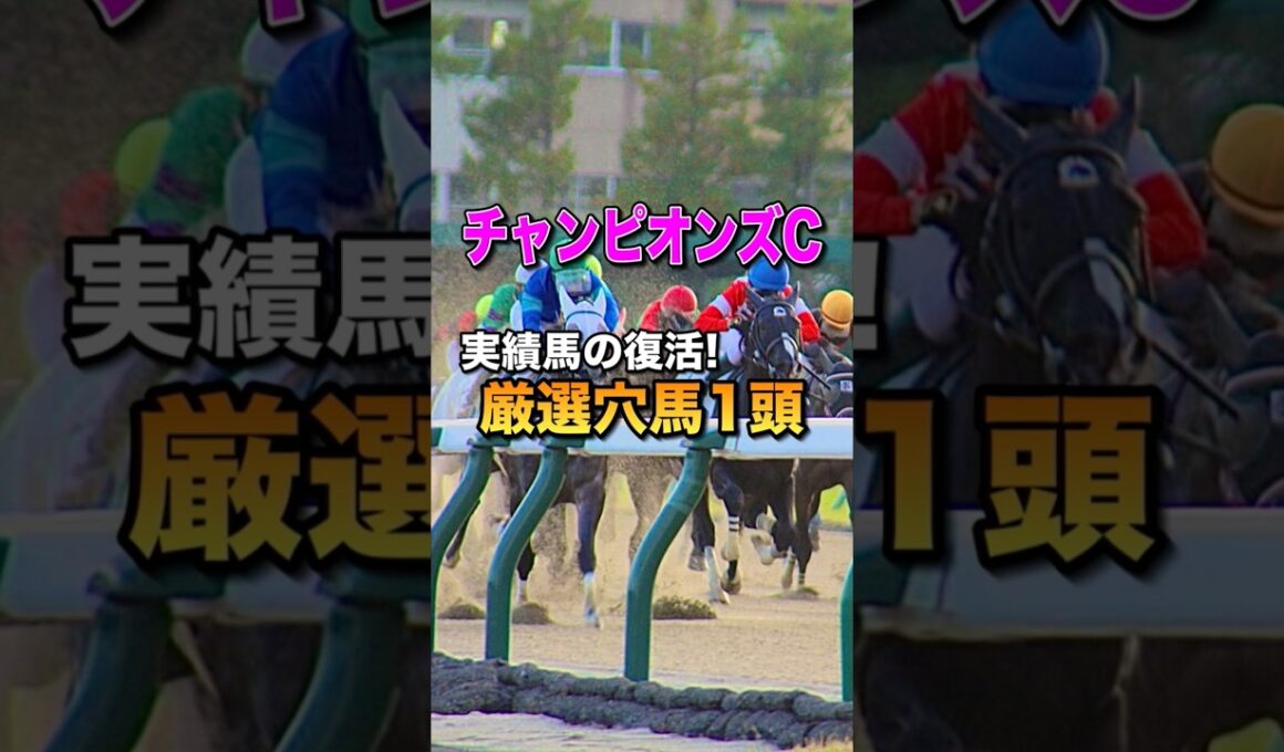 【チャンピオンズカップ2025】厳選穴馬1頭
