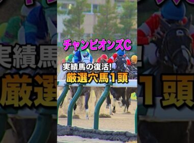 【チャンピオンズカップ2025】厳選穴馬1頭