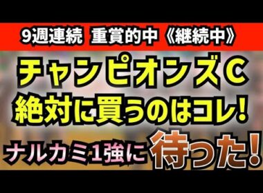【 チャンピオンズカップ2025 】ナルカミ1強に待った！チャンピオンズカップで「本当に買うべき」【連対率100％】鉄板馬の正体