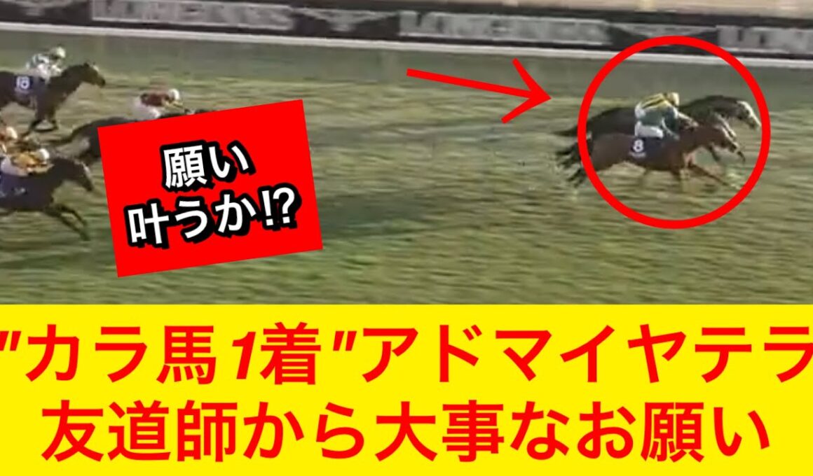 【競馬の反応集】アドマイヤテラが有馬記念2025に参戦予定！友道調教師から大切なお願いがある【競馬】