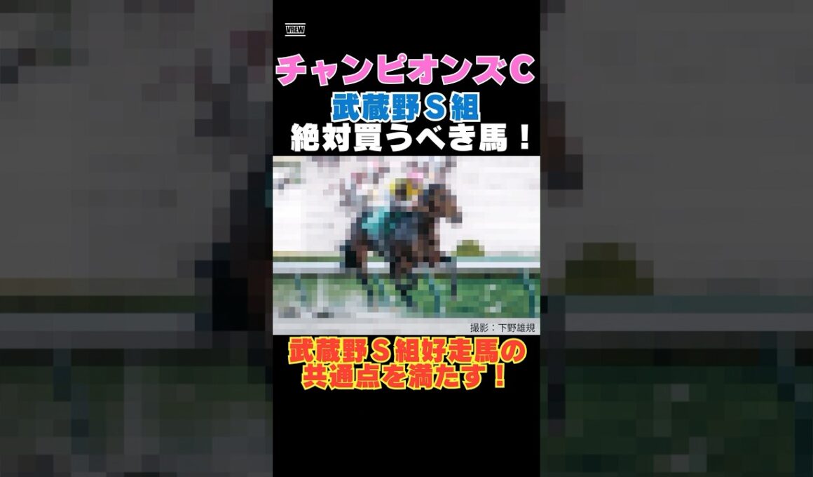 【チャンピオンズカップ2025】武蔵野Ｓ組から絶対買うべき馬！武蔵野Ｓ組好走馬の共通点を満たす！