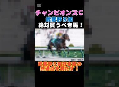 【チャンピオンズカップ2025】武蔵野Ｓ組から絶対買うべき馬！武蔵野Ｓ組好走馬の共通点を満たす！