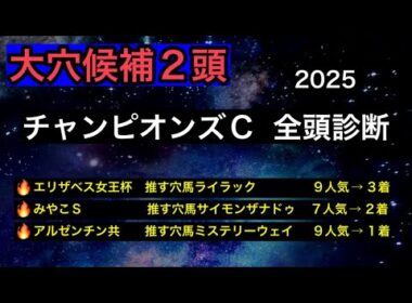 【競馬予想】　チャンピオンズカップ　全頭診断　事前予想　2025