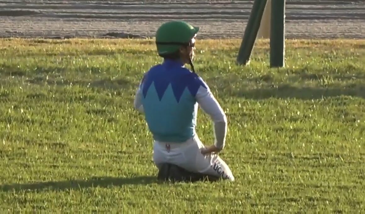 【川田将雅騎手がジャパンカップでスタート直後に落馬するアクシデントのあと係員とぶつかるアクシデントにも見舞われる】※騎乗馬アドマイヤテラ号　2025年11月30日（日）東京競馬場