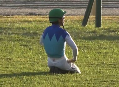 【川田将雅騎手がジャパンカップでスタート直後に落馬するアクシデントのあと係員とぶつかるアクシデントにも見舞われる】※騎乗馬アドマイヤテラ号　2025年11月30日（日）東京競馬場
