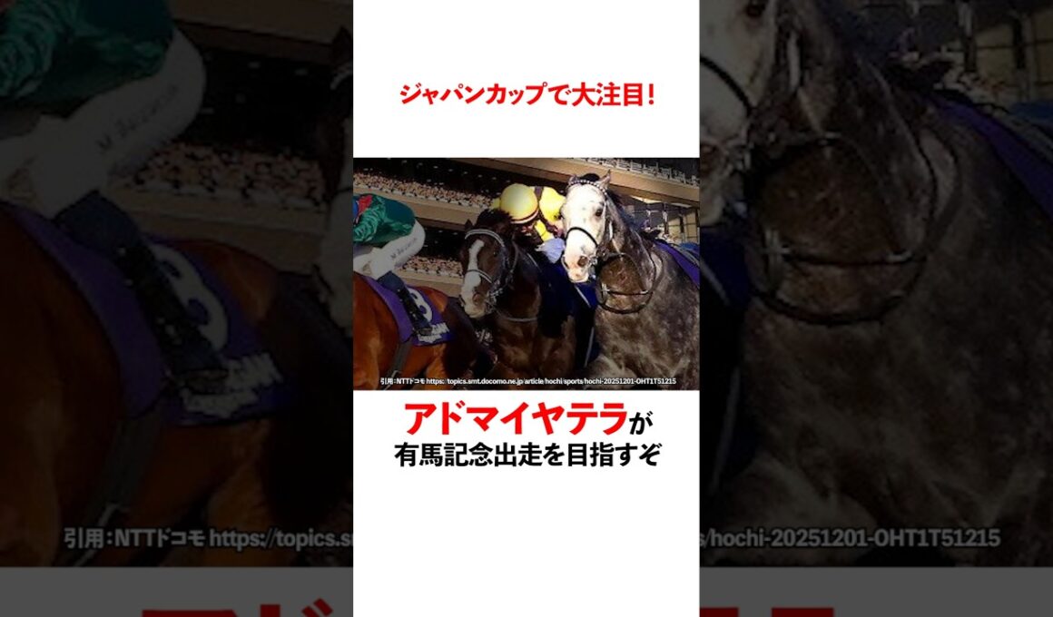 ジャパンカップで大注目！アドマイヤテラが有馬記念を目指すぞ！
