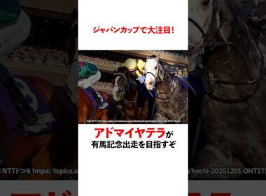 ジャパンカップで大注目！アドマイヤテラが有馬記念を目指すぞ！
