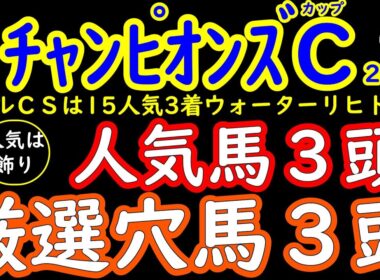 チャンピオンズカップ2025人気は飾り！桜花が選ぶ厳選穴馬３頭＋人気馬３頭ナルカミとダブルハートボンドとルクソールカフェの不安材料！マイルCSは１５人気３着ウォーターリヒト推奨し穴馬探しに一役！