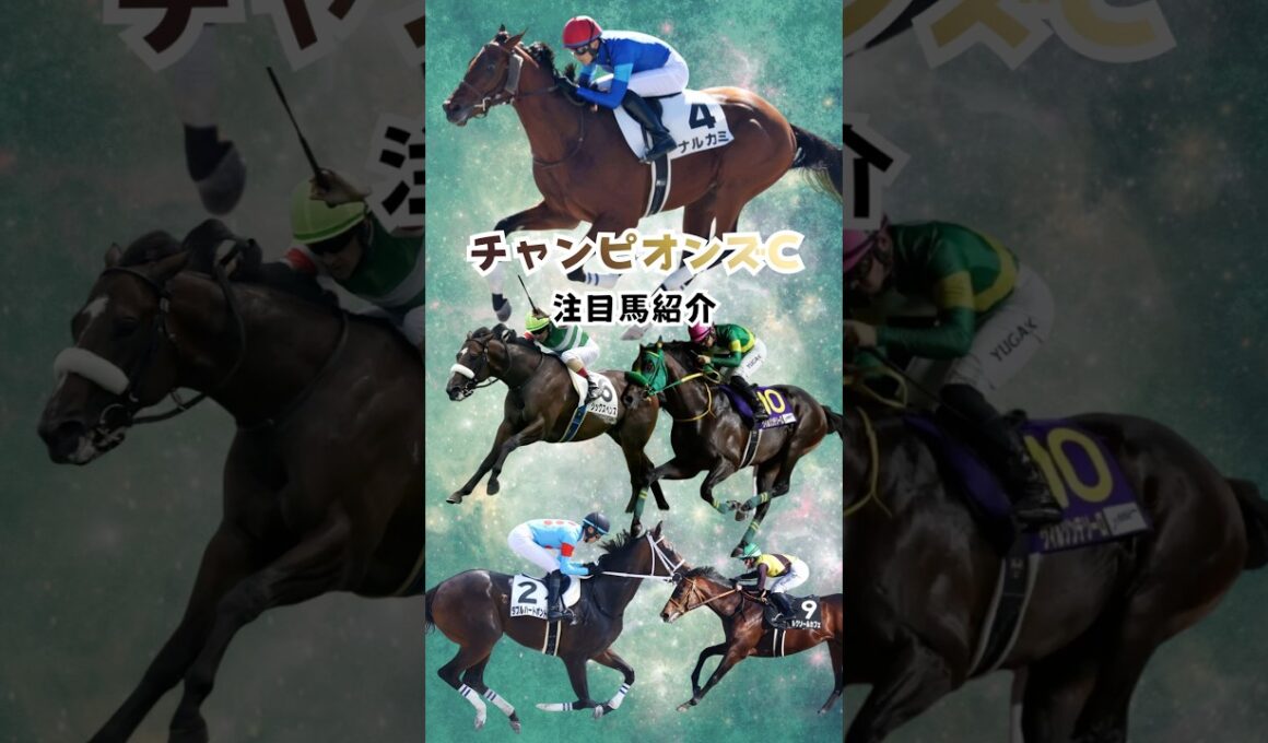 【チャンピオンズカップ2025】注目馬紹介！目指せ6週連続的中！！#チャンピオンズカップ #競馬 #競馬予想 #shorts