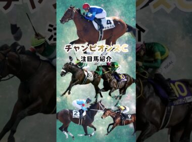 【チャンピオンズカップ2025】注目馬紹介！目指せ6週連続的中！！#チャンピオンズカップ #競馬 #競馬予想 #shorts