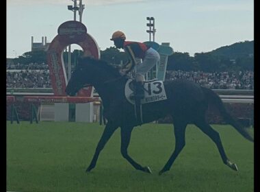 【現地最前】東京優駿 日本ダービー 2025