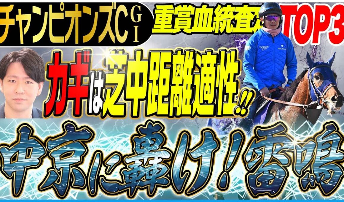 【チャンピオンズC2025】実績上位の古馬勢より注目！中京ダートに求められるのは機動力に富む芝中距離向きの配合！(坂上明大の重賞血統査定)《東スポ競馬》
