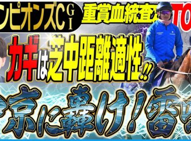 【チャンピオンズC2025】実績上位の古馬勢より注目！中京ダートに求められるのは機動力に富む芝中距離向きの配合！(坂上明大の重賞血統査定)《東スポ競馬》
