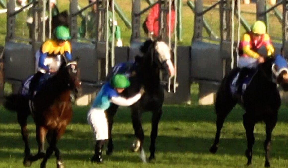 【ジャパンカップ2025】【落馬】アドマイヤテラが騎手を落とすも一人で勝つ 勝ったと思ってるのでウイニングランをしたがる! 現地映像 【放馬】