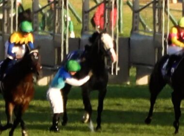 【ジャパンカップ2025】【落馬】アドマイヤテラが騎手を落とすも一人で勝つ 勝ったと思ってるのでウイニングランをしたがる! 現地映像 【放馬】