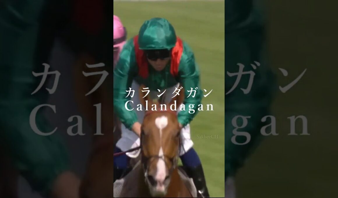競馬 '25 ジャパンカップ ～STARTINGFORCE～ #競馬